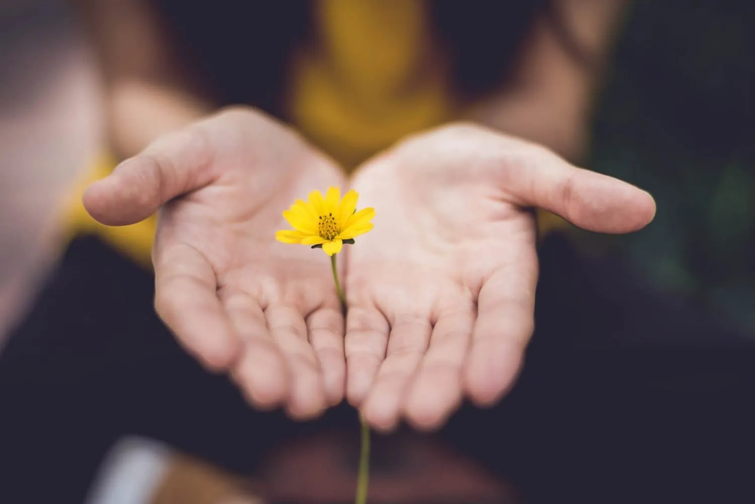Woman in recovery mode after grief counseling holding a flower in her hands